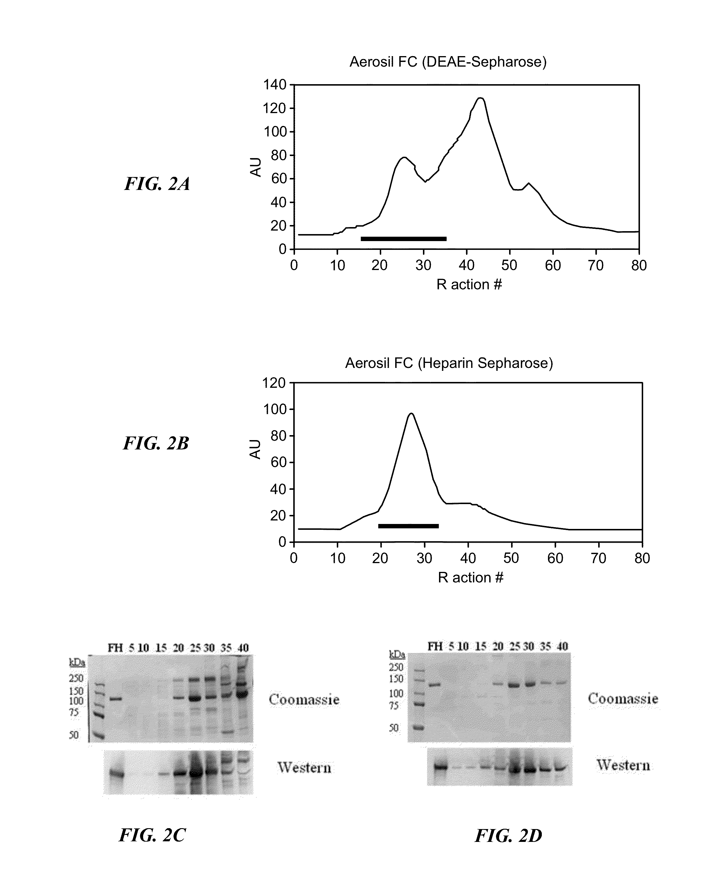 Manufacture of factor h (FH) and fh-derivatives from plasma