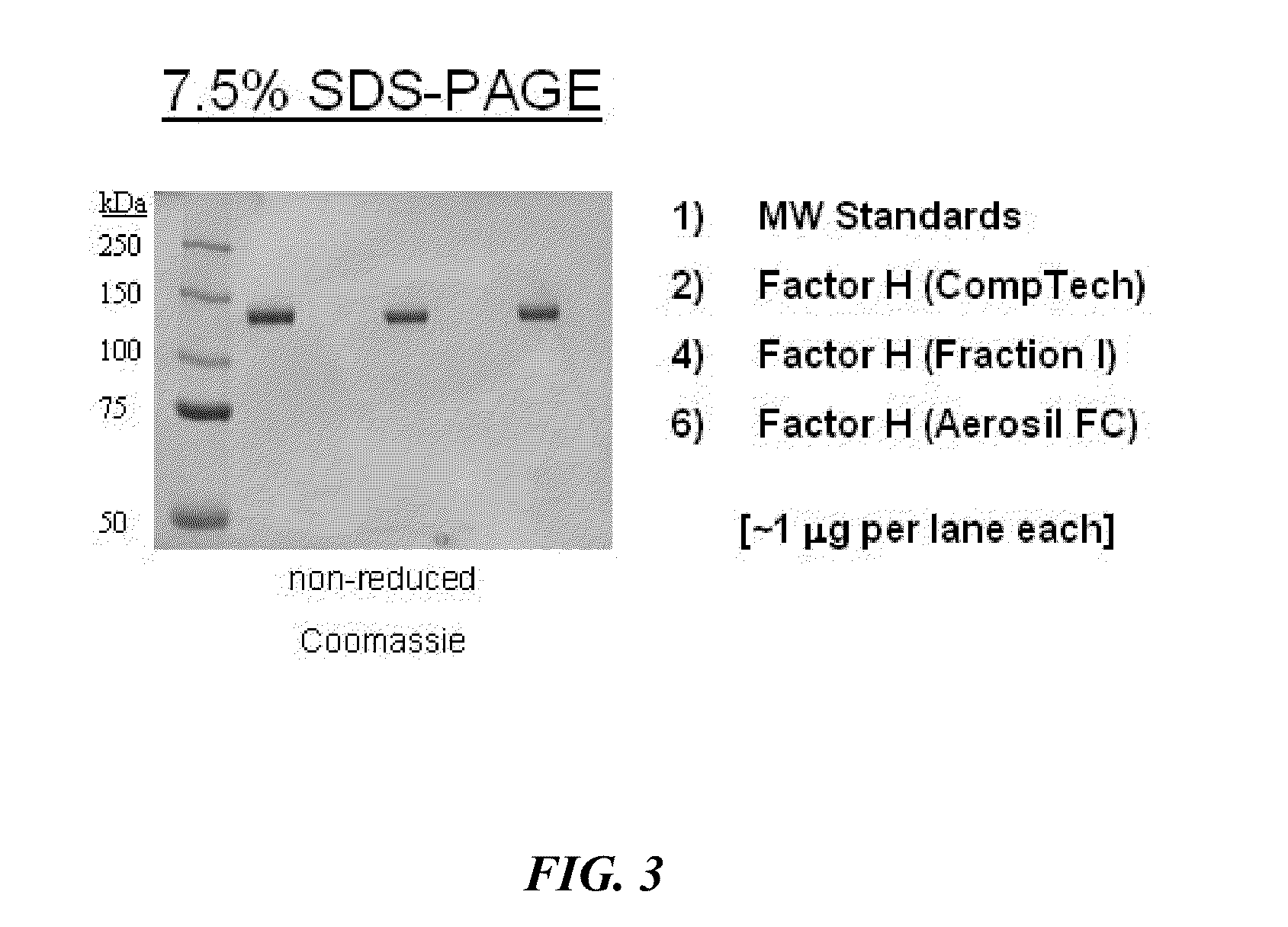 Manufacture of factor h (FH) and fh-derivatives from plasma