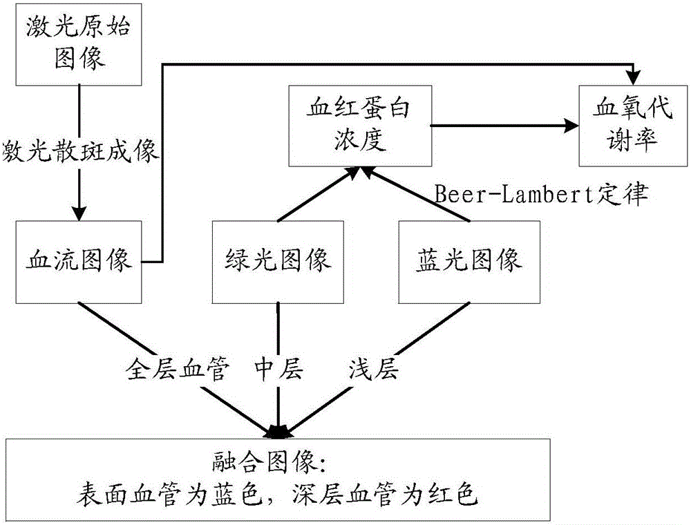 Imaging system of endoscope