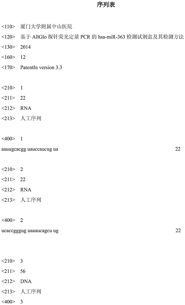 hsa-mir-363 detection kit and detection method based on allglo probe fluorescence quantitative PCR