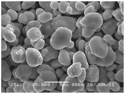 High-temperature-resistant lithium ion battery