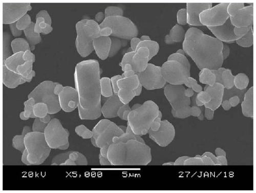 High-temperature-resistant lithium ion battery