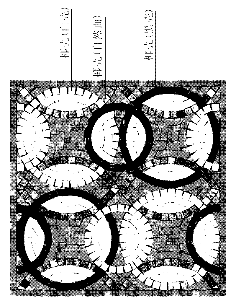 Coconut shell mosaic unit, preparation method and mosaic patchwork