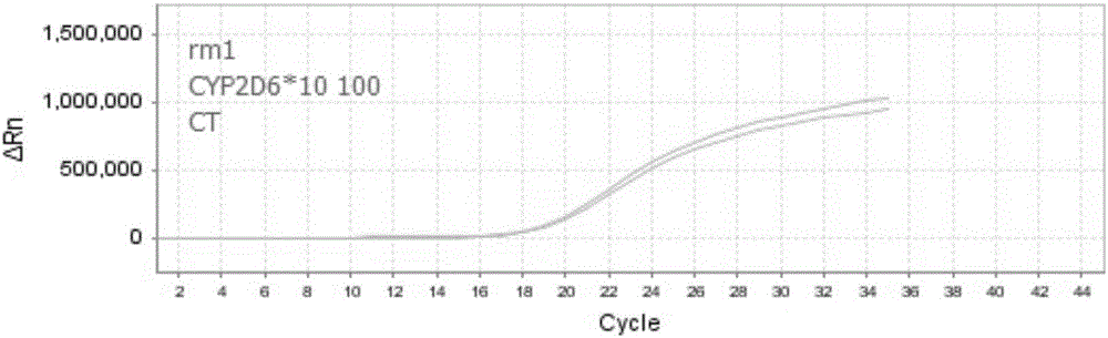 Nucleic acid, kit and method for detecting polymorphism of human CYP2D6 gene