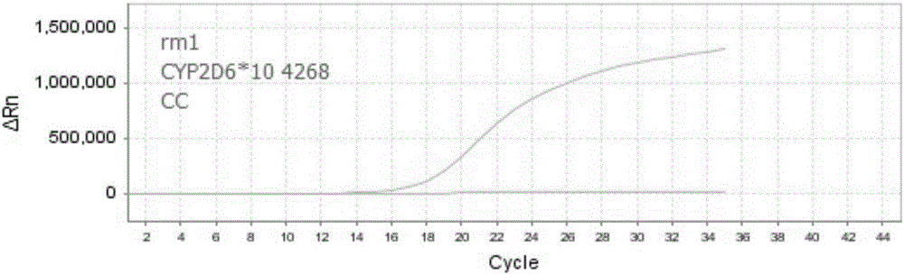 Nucleic acid, kit and method for detecting polymorphism of human CYP2D6 gene