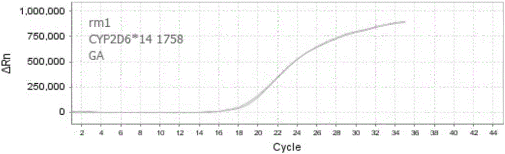 Nucleic acid, kit and method for detecting polymorphism of human CYP2D6 gene