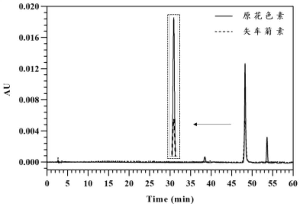 Hydrophilic interaction and reversed-phase liquid chromatography coupled to analyze the structure of proanthocyanidins