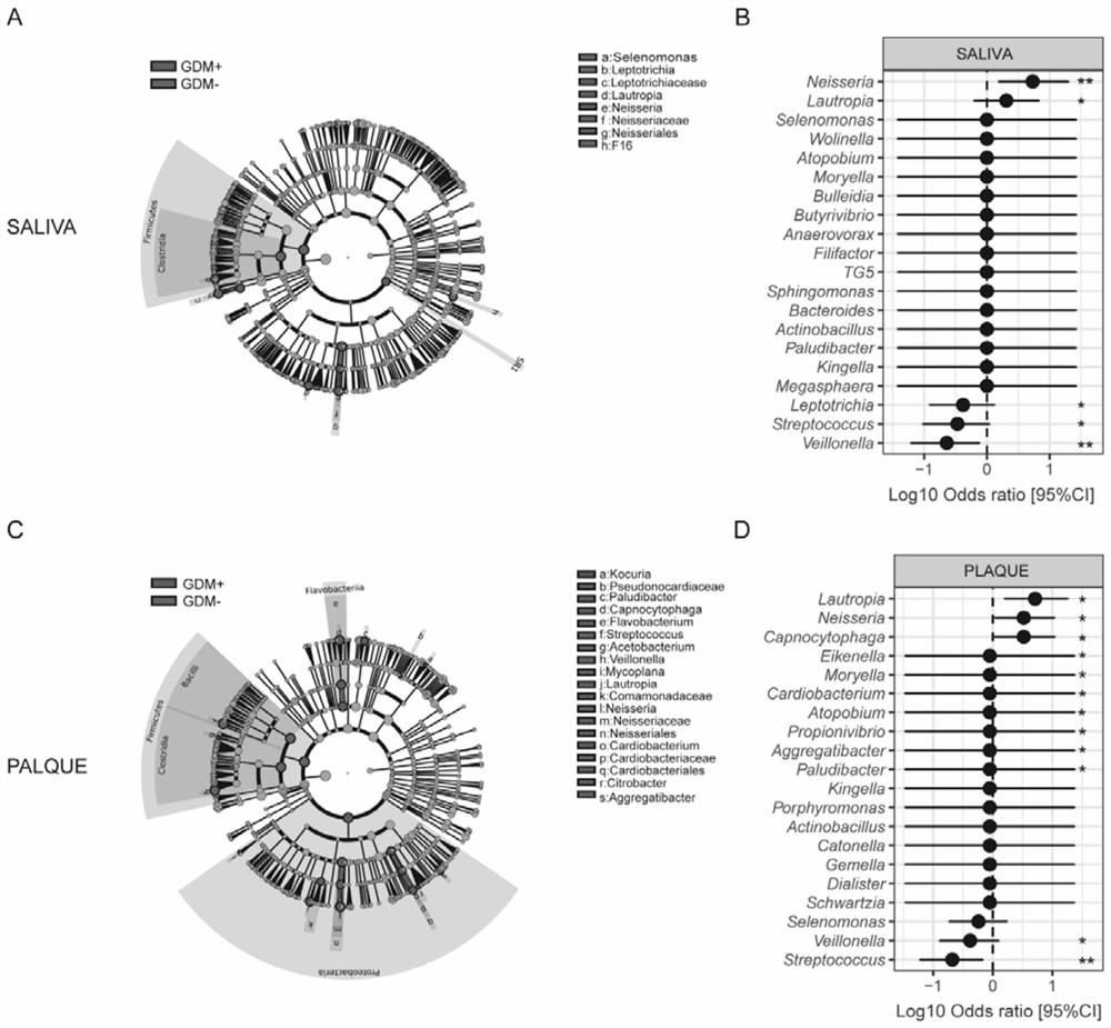 Application of substance for detecting oral bacteria to diagnosis of gestational diabetes mellitus