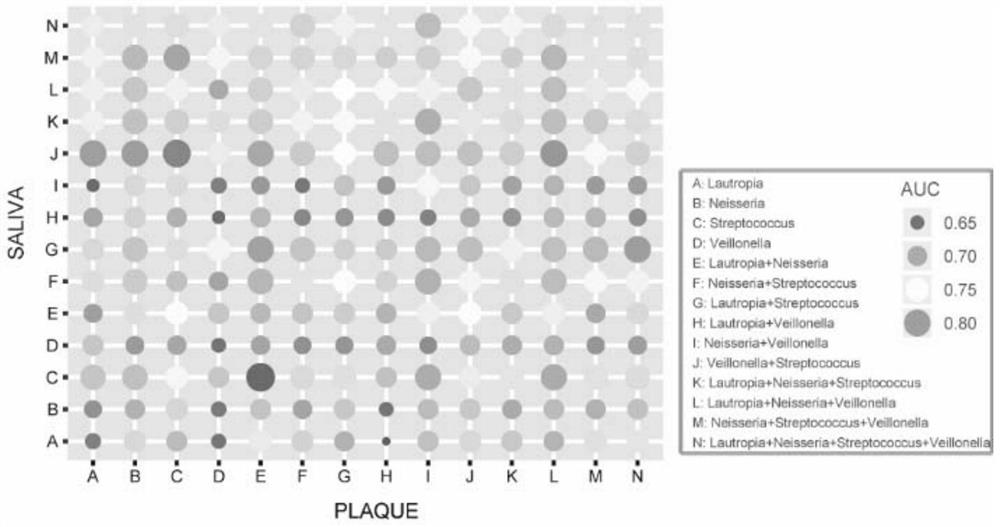 Application of substance for detecting oral bacteria to diagnosis of gestational diabetes mellitus