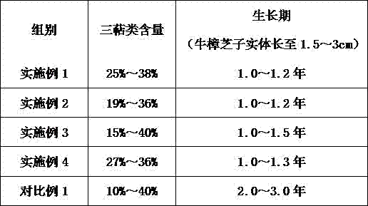 Culture medium for cultivating Antrodia sporocarp and cultivating method thereof