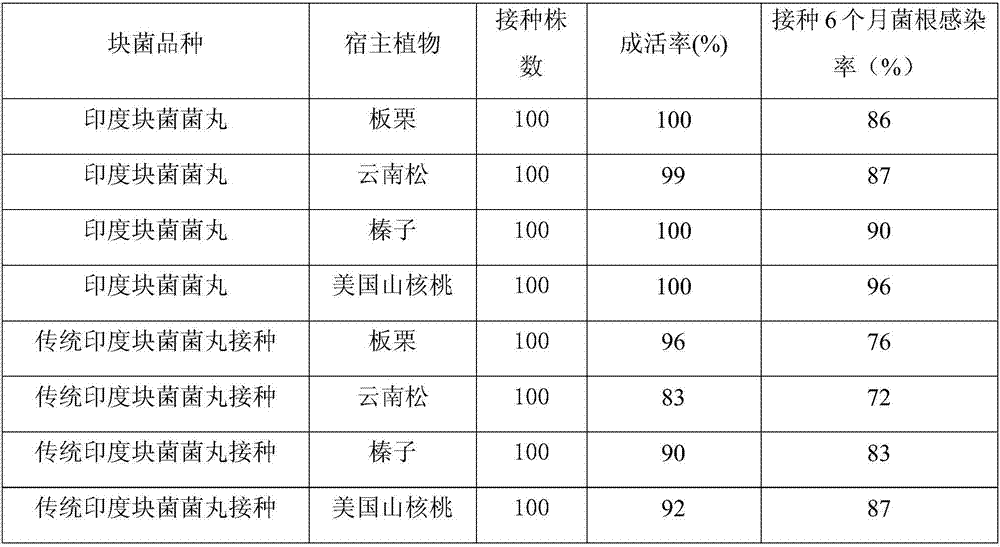 Truffle inoculated fugus pill and preparation and application method thereof