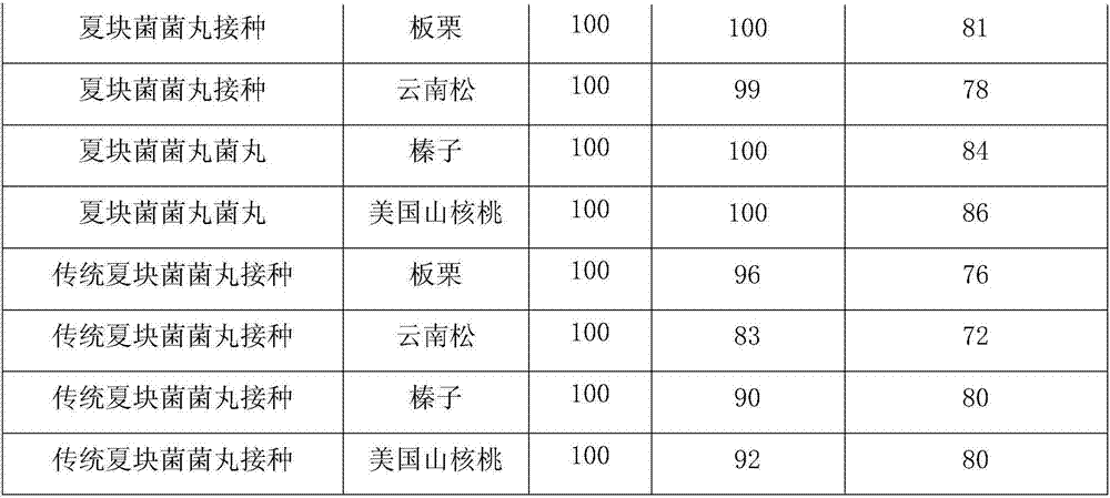 Truffle inoculated fugus pill and preparation and application method thereof