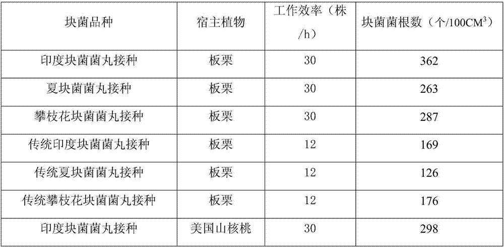 Truffle inoculated fugus pill and preparation and application method thereof