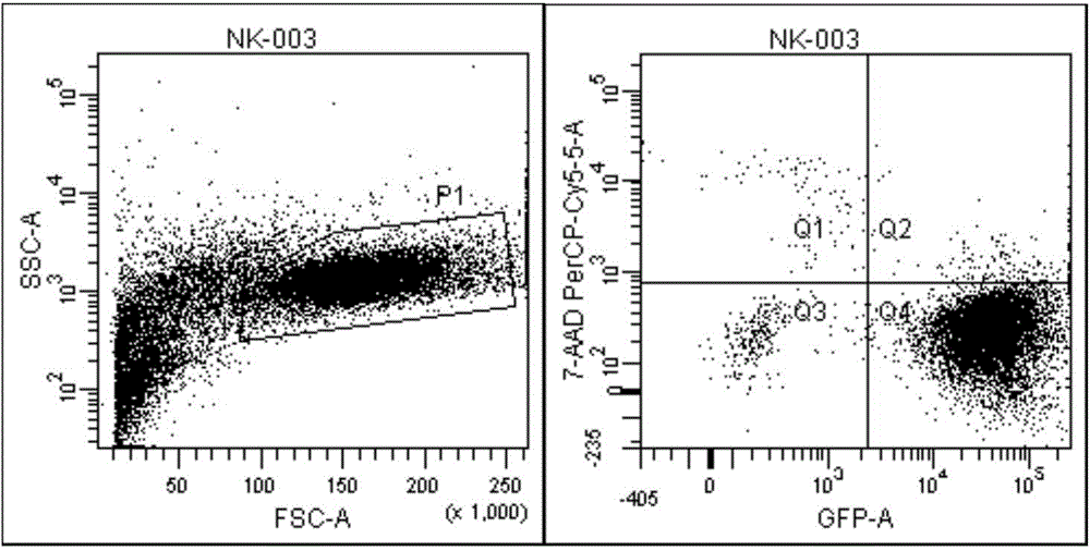 Kit for detecting NK cell activity