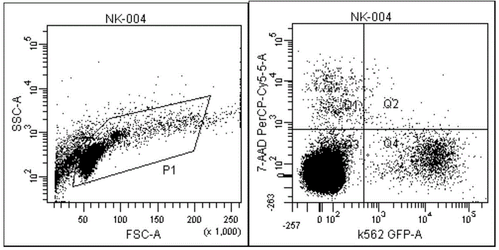 Kit for detecting NK cell activity