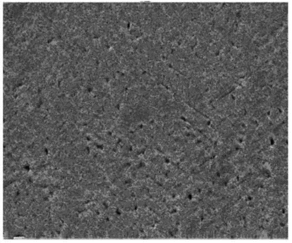 Electric contact material and preparation method thereof