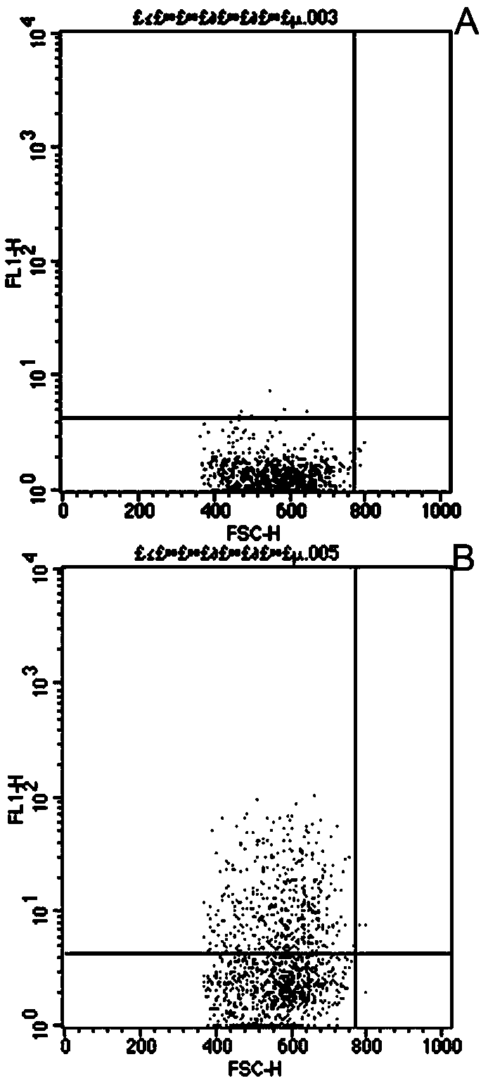 Application of platelet microparticles in elevated expression of cell tissue factors