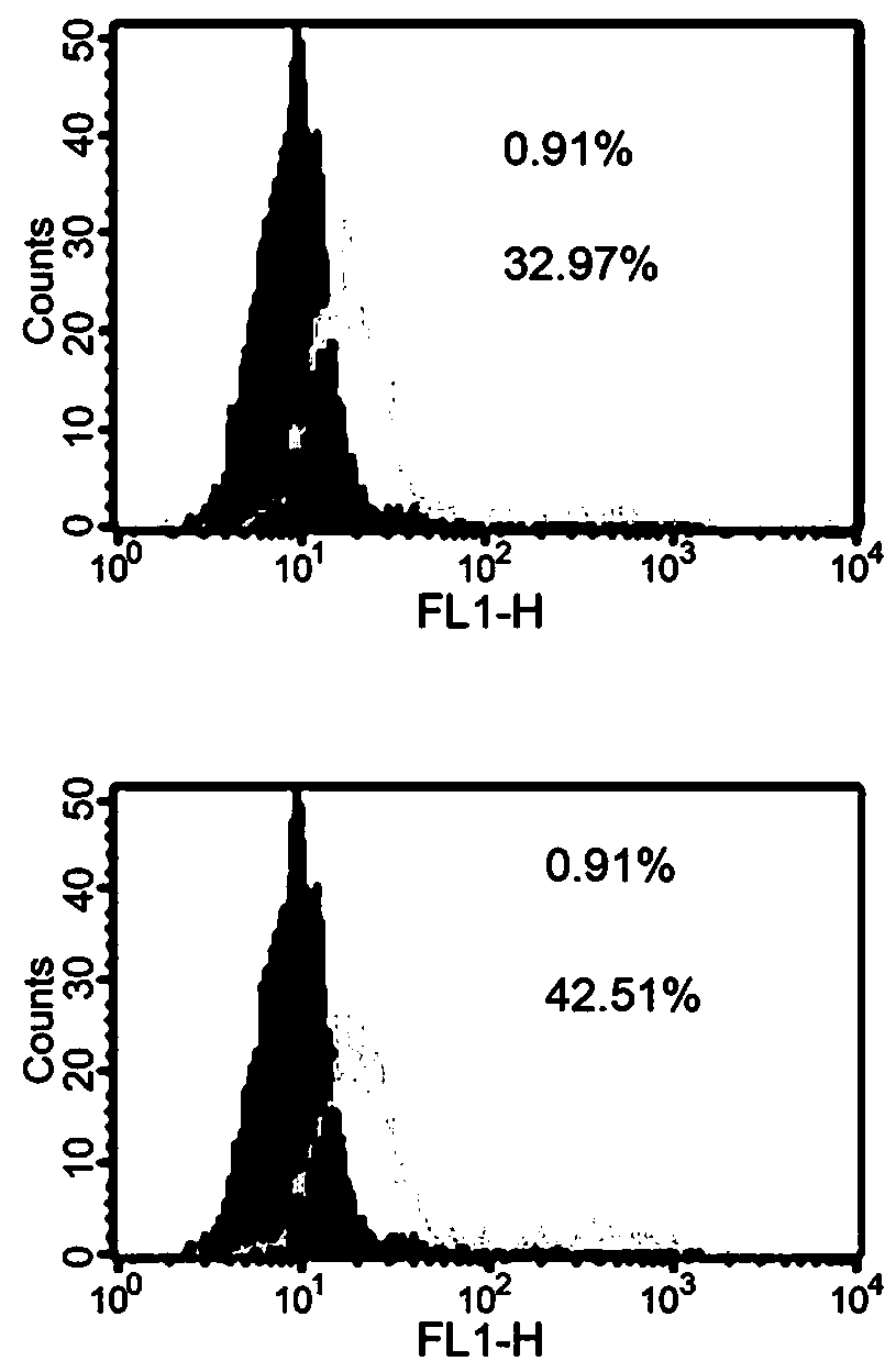 Application of platelet microparticles in elevated expression of cell tissue factors