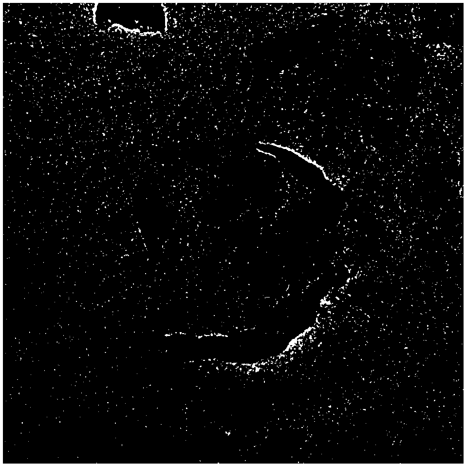 Method for preparing functionalized graphene by synchronous ultrasonic chemical and mechanical chemical method