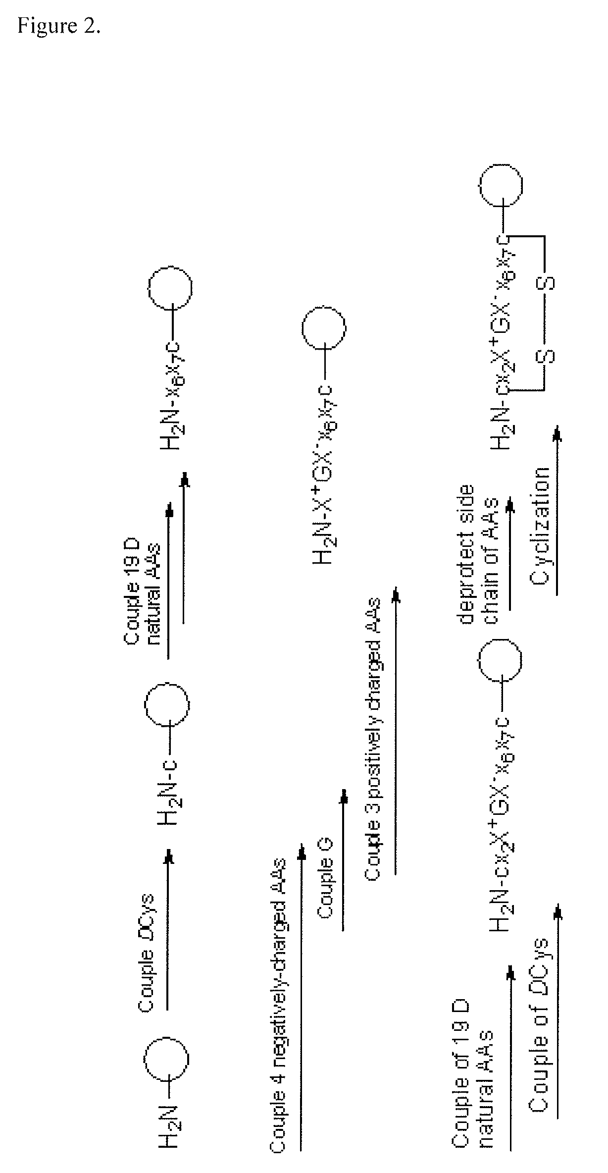 RGD-containing cyclic peptides