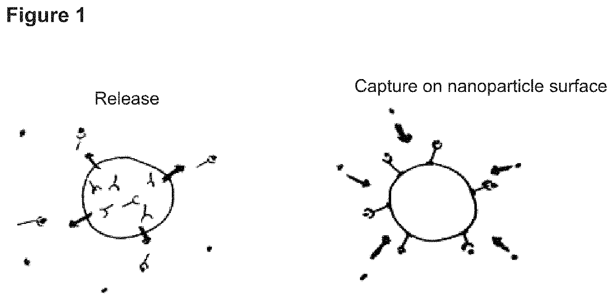 Porous affinity hydrogel particles for reducing the bioavailability of selected biological molecules