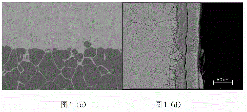 Radiation-resistant martensite heat-resistant steel having excellent compatibility with Pb and Pb-Bi