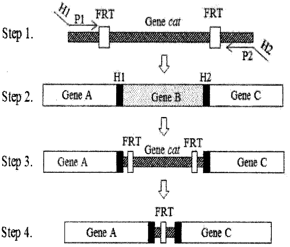 A Microbiological Method for Detecting Heavy Metal Lead in Water