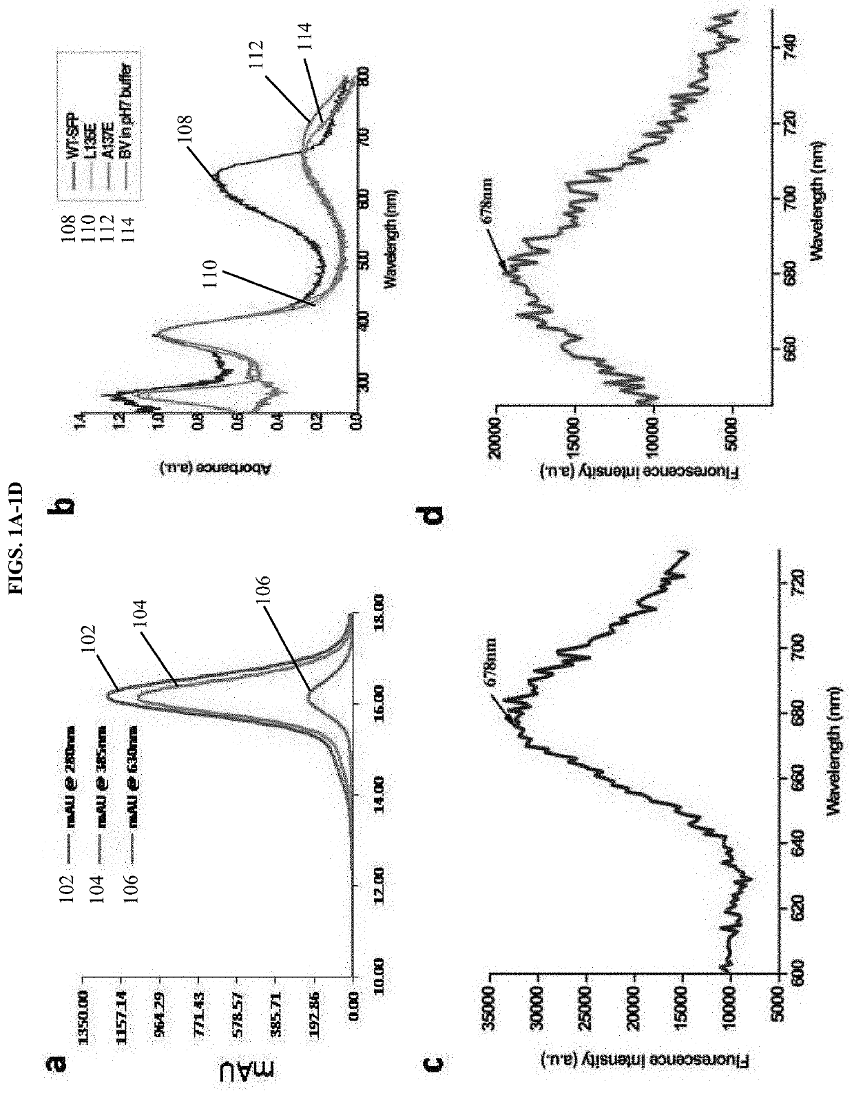 Blue fluorescent protein monomers and uses thereof