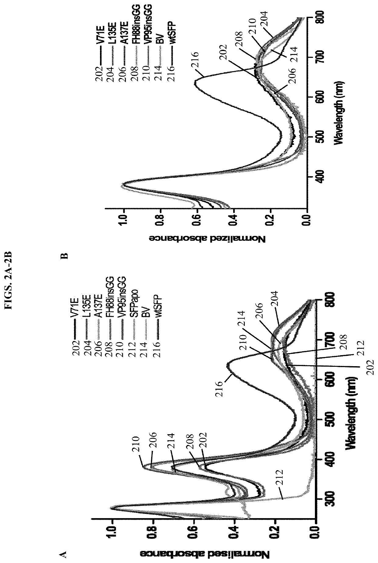 Blue fluorescent protein monomers and uses thereof