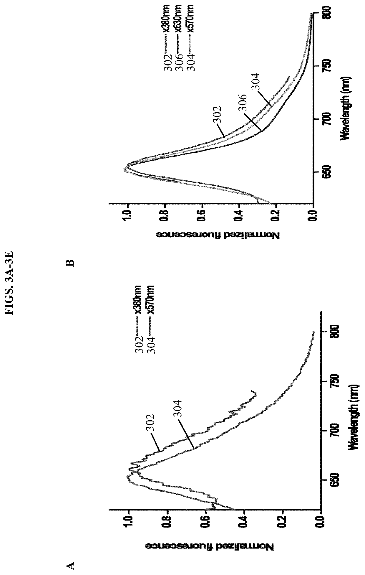 Blue fluorescent protein monomers and uses thereof