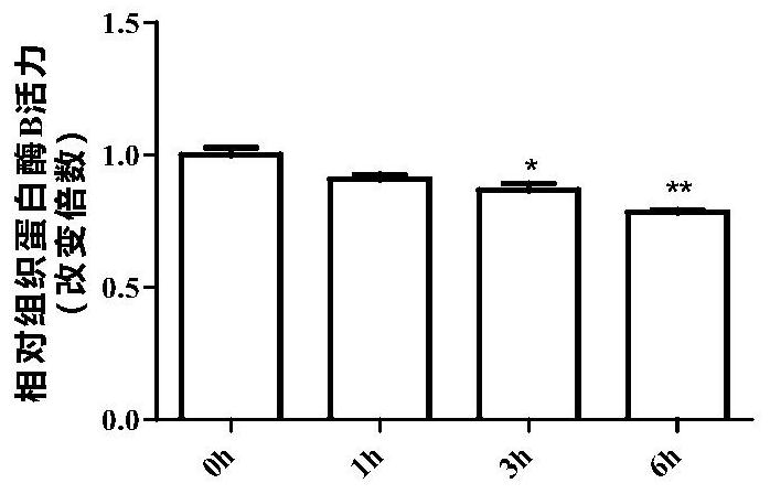 Application of mogroside iie in the preparation of trypsin inhibitor