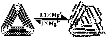 Fluorescence precise quantification method of integrity of DNA origami structure