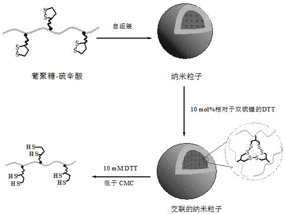 Thioctic acid-modified hydrophilic polymer for side chain