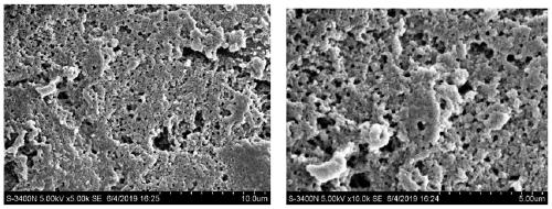 Polysaccharide dressing for wound repairing and preparation method and application thereof