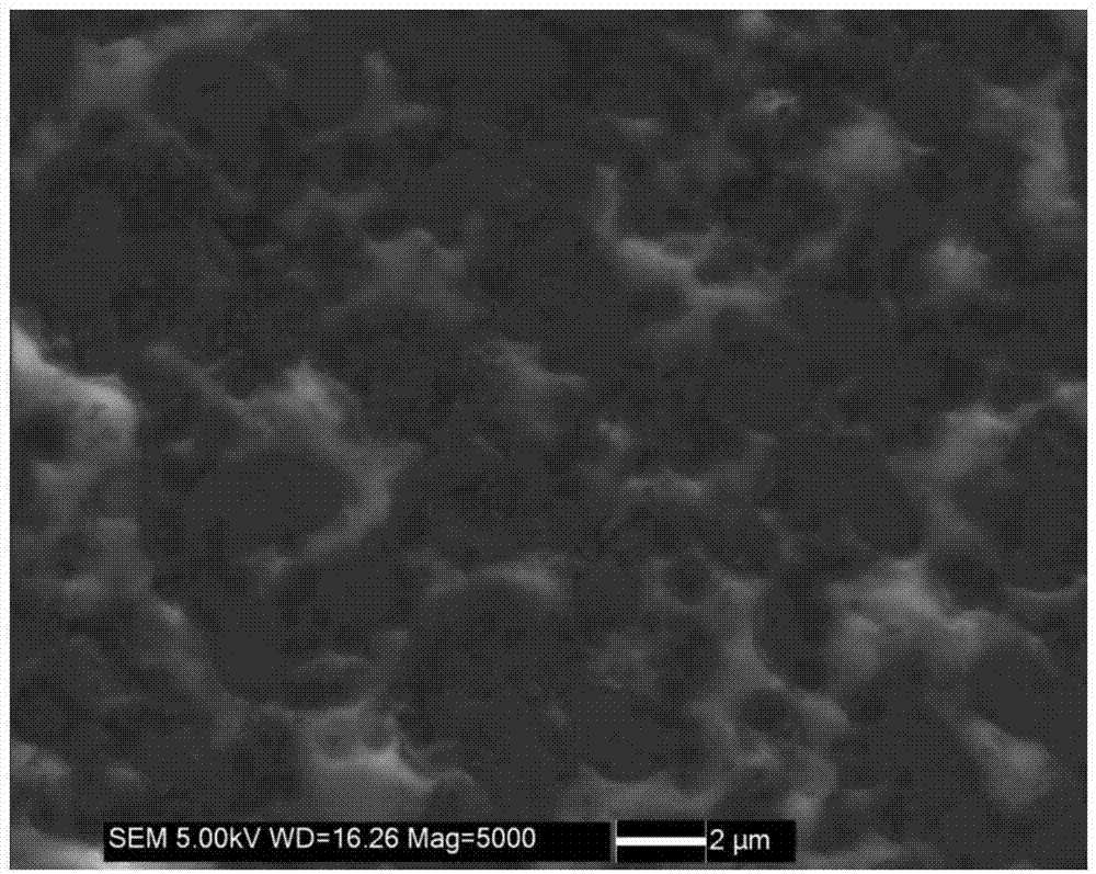 Method for preparing composite ceramic material through utilizing ceramic and precursor