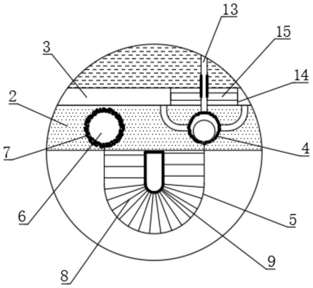 Dual-phase-state wiping type stainless steel rust removal friction plate