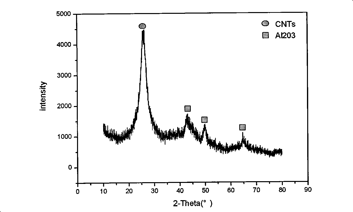 Catalyst for removing nitrogen oxide and organic pollutant discharged in burning and method for preparing same