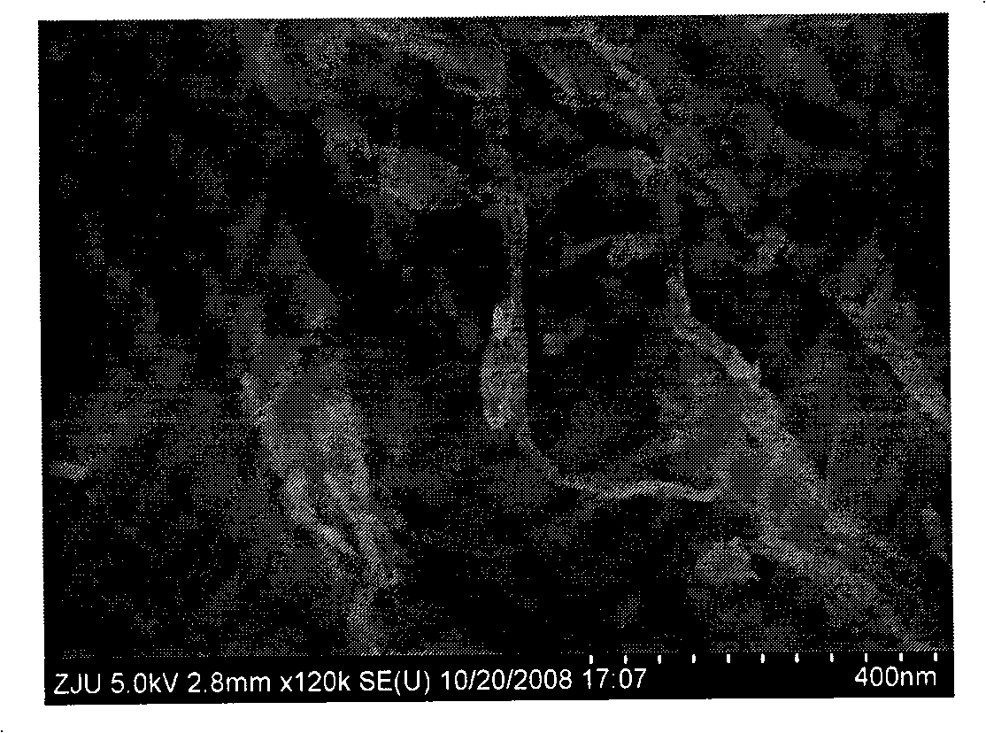 Catalyst for removing nitrogen oxide and organic pollutant discharged in burning and method for preparing same