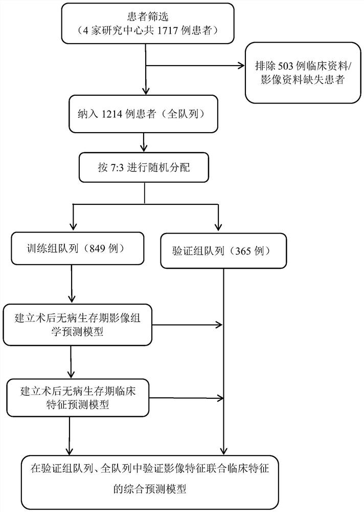 Breast cancer patient disease-free lifetime prediction model and construction method thereof