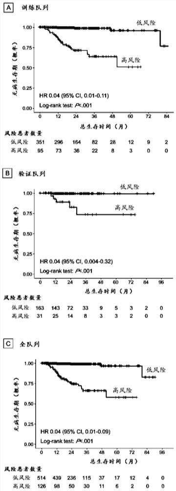 Breast cancer patient disease-free lifetime prediction model and construction method thereof