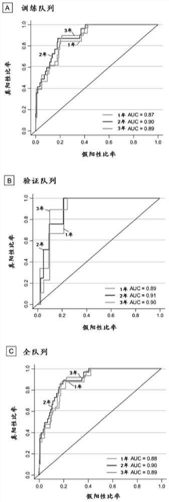 Breast cancer patient disease-free lifetime prediction model and construction method thereof