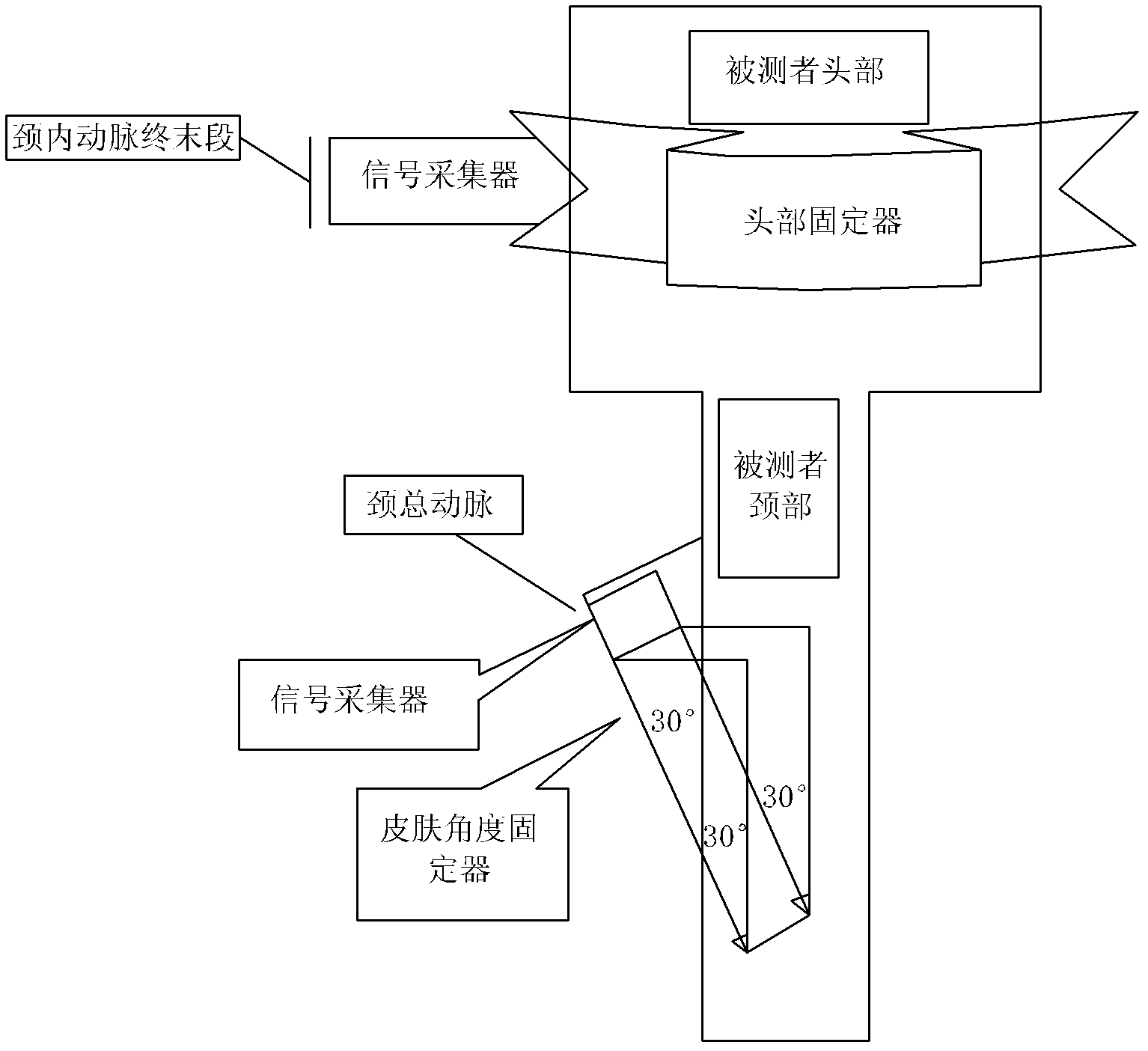 Neck and brain arterial pulse wave speed measurement system