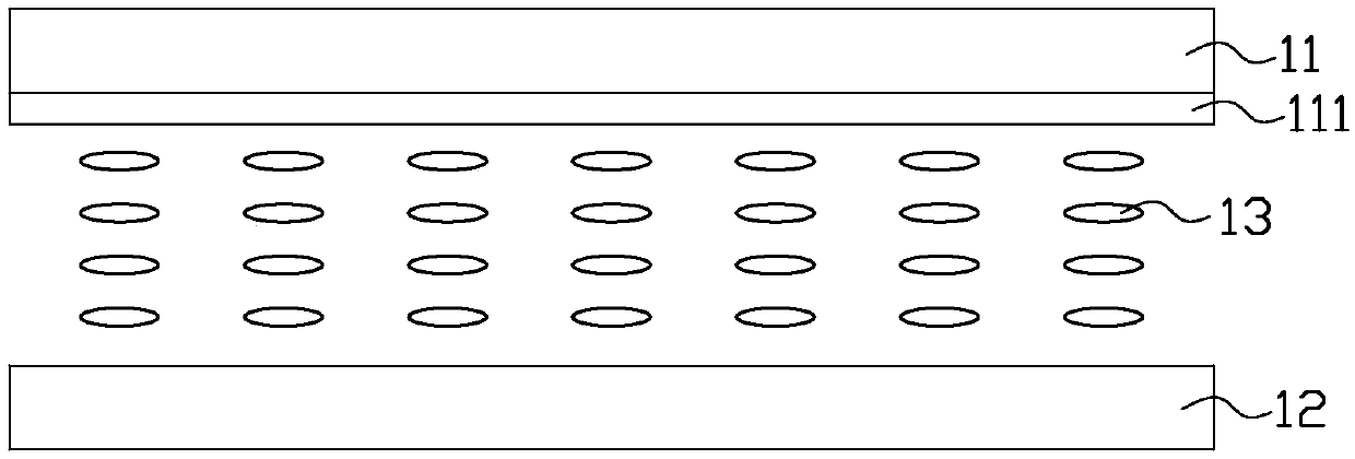 Liquid crystal display device with switchable viewing angle