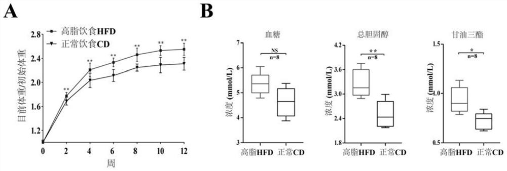 Application of lncRNA SLC25A21-AS1 as marker of esophageal squamous cell carcinoma