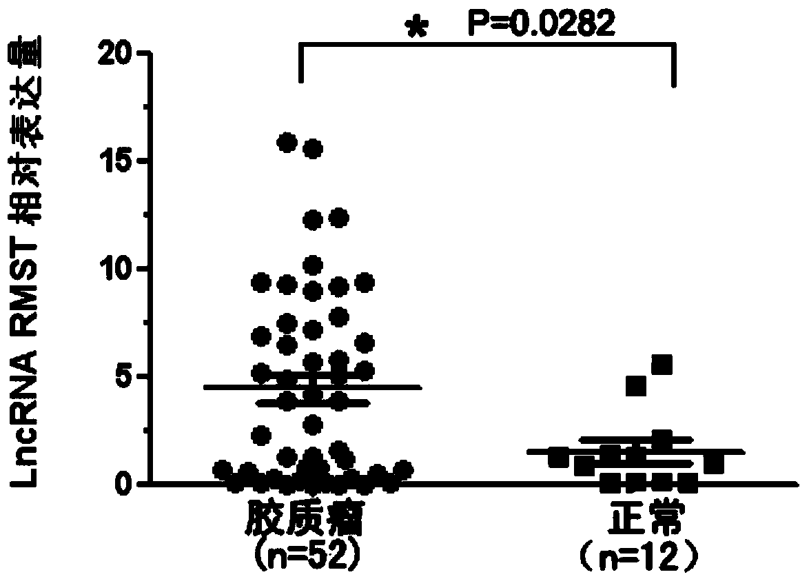 Application method of long no-coding RNA (Lnc RNA (Ribonucleic Acid)) RMST (Rhabdomyosarcoma 2 associated Transcript)