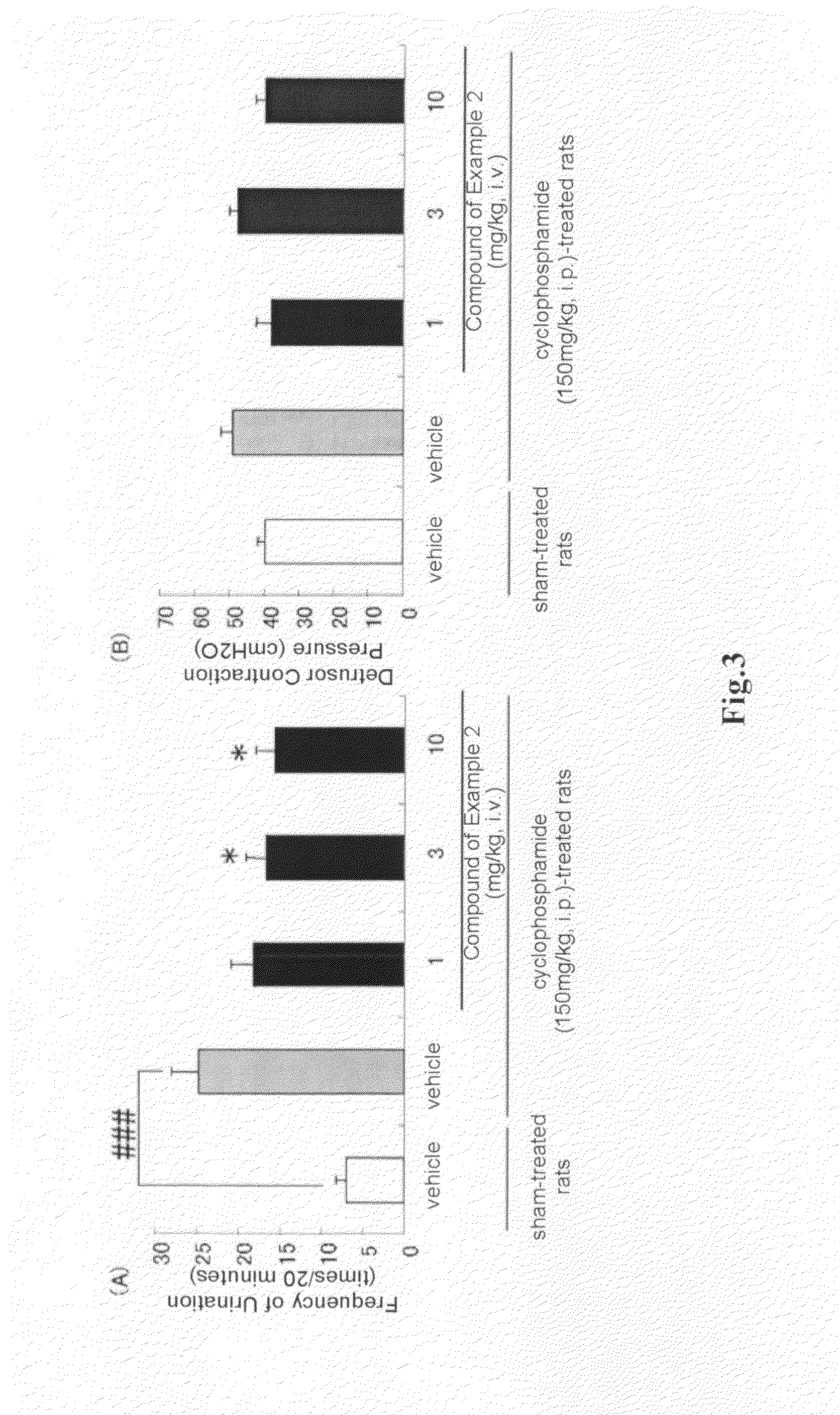 Arylmethylene urea derivative and use thereof