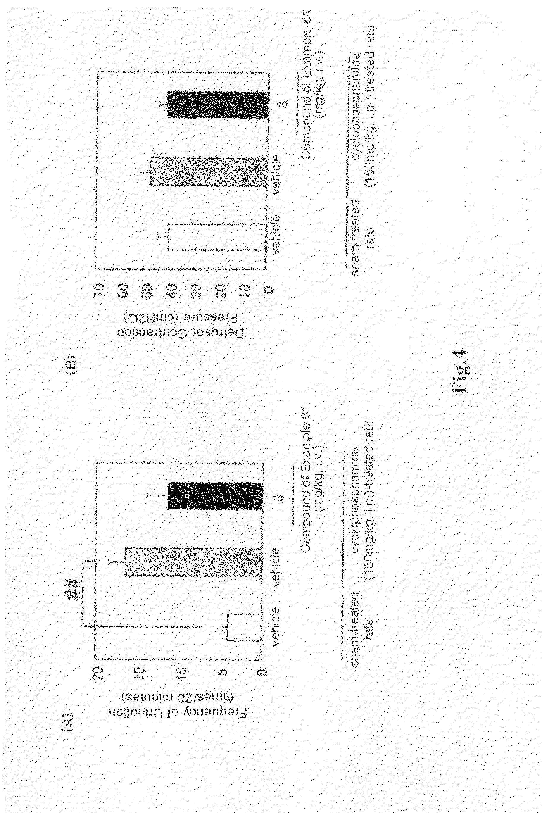 Arylmethylene urea derivative and use thereof