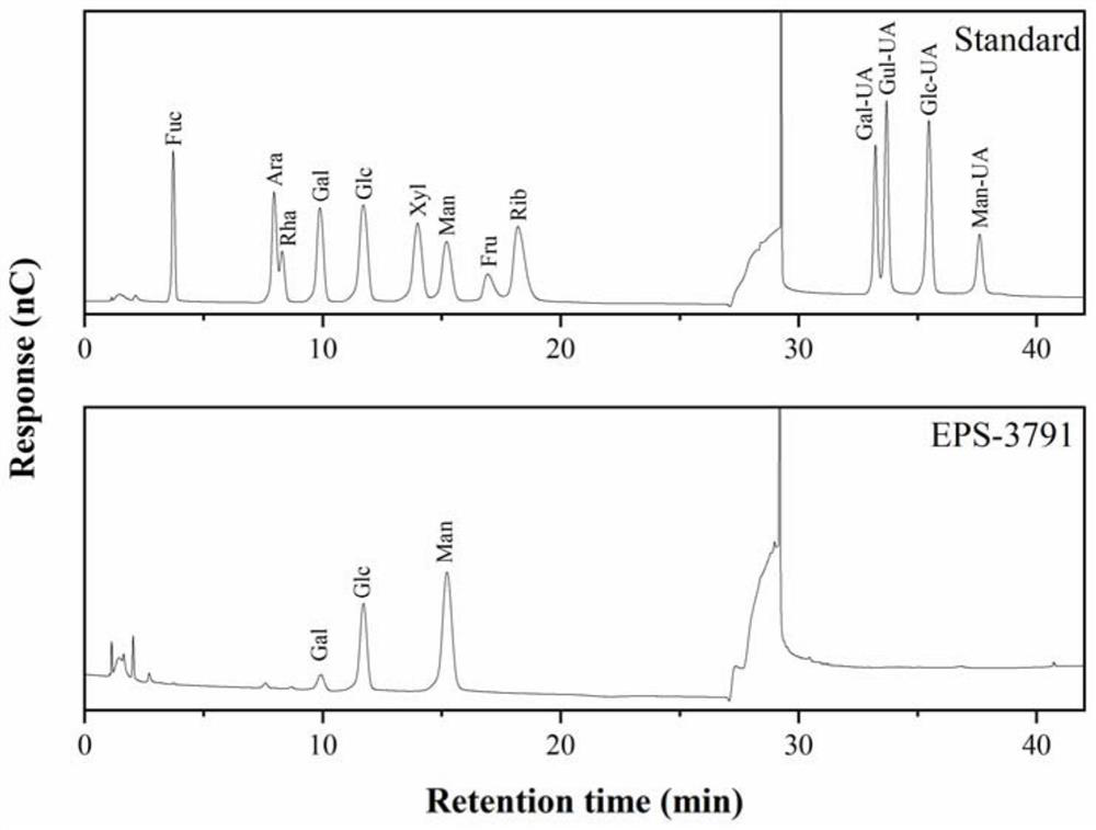 Yeast exopolysaccharide, preparation method and application thereof