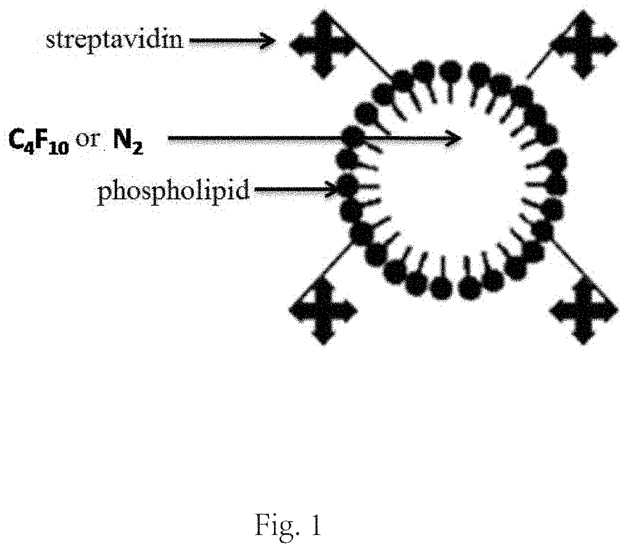 Targeted microbubble, preparation method thereof, and use thereof