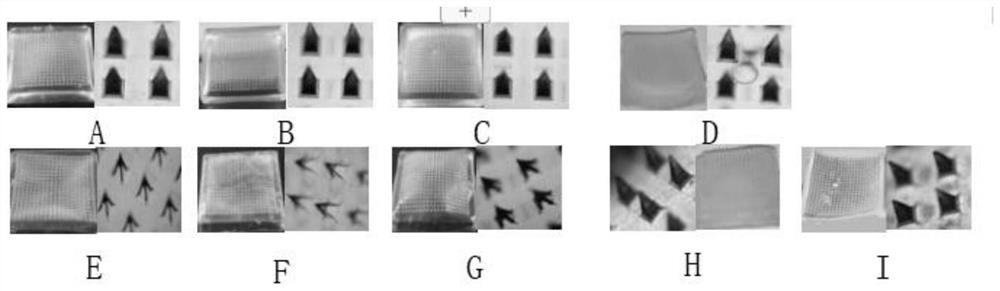 A kind of triptolide self-dissolving microneedle